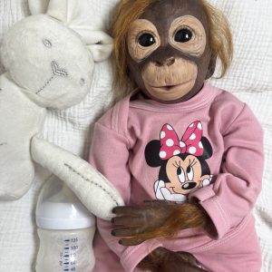 kit chimpanse